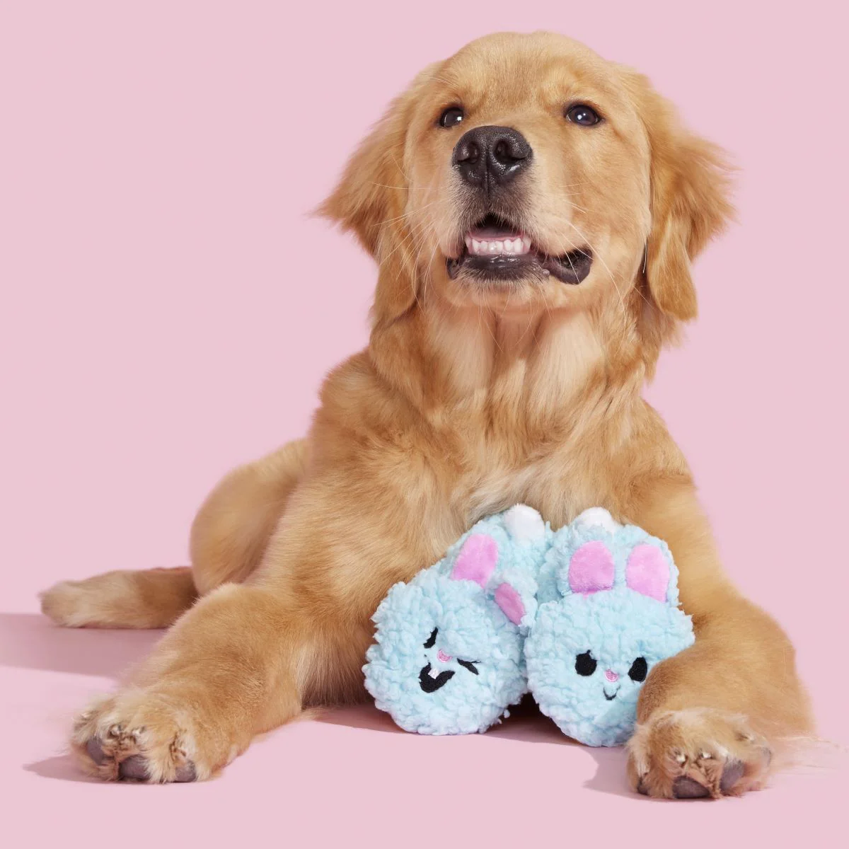 Yippy & Skippy Slippies Plush Multi-Part Dog Toy - Image 5