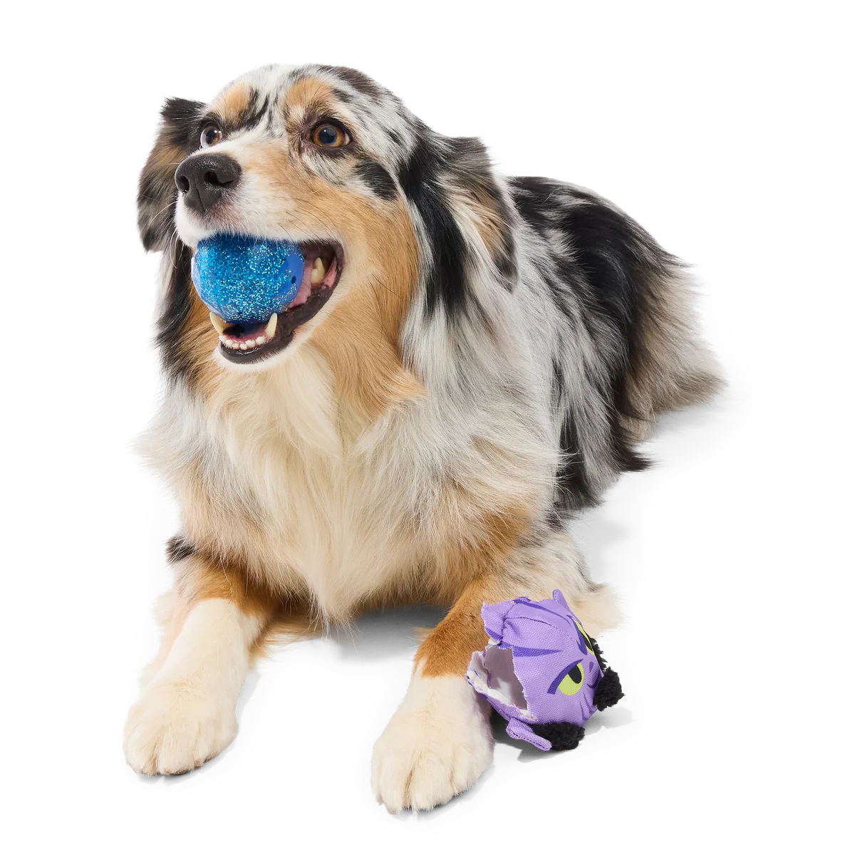 Zeb Orrelios™ Super Chewer Durable 2-in-1 + Fetch Dog Toy - Image 2
