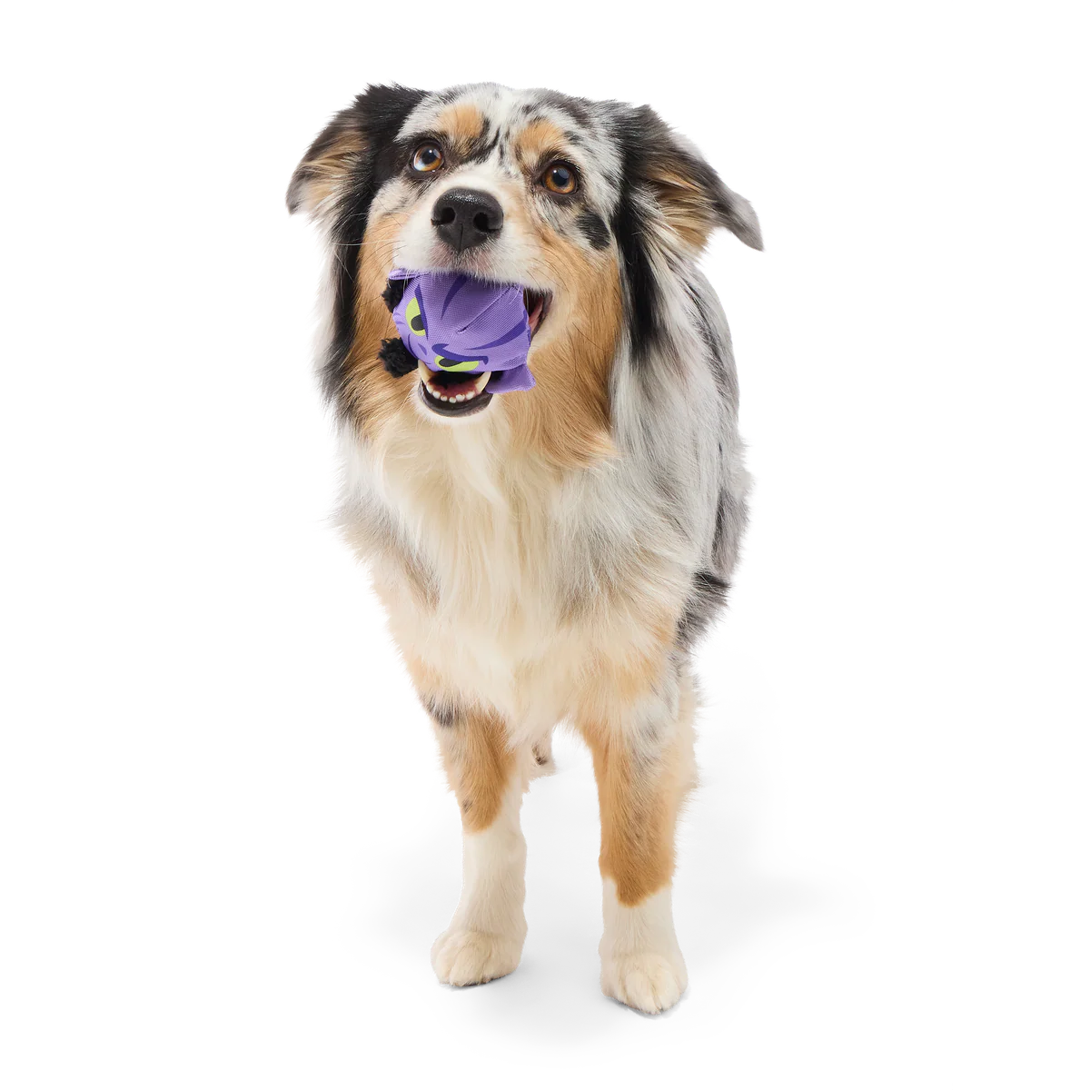 Zeb Orrelios™ Super Chewer Durable 2-in-1 + Fetch Dog Toy - Image 3