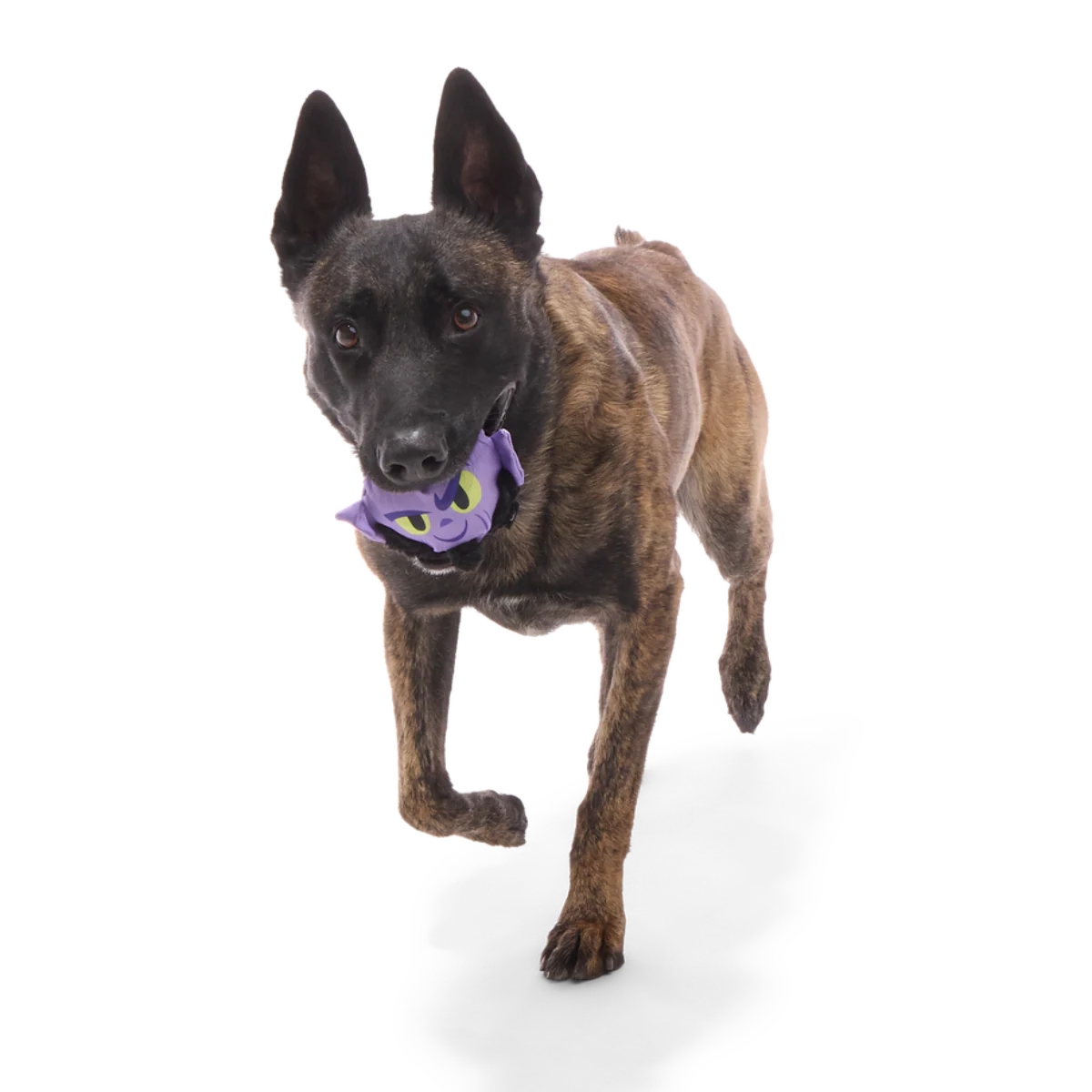 Zeb Orrelios™ Super Chewer Durable 2-in-1 + Fetch Dog Toy - Image 4