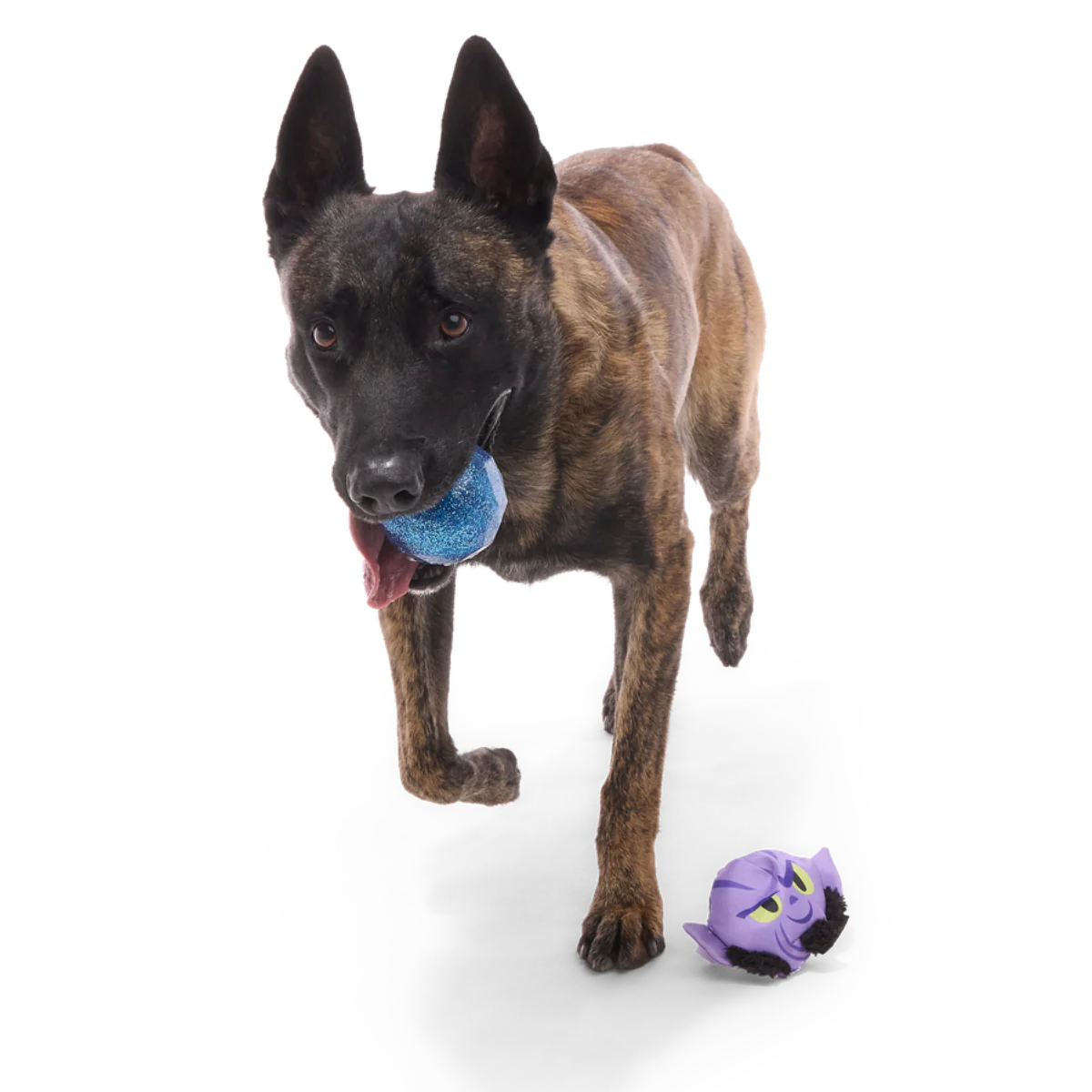 Zeb Orrelios™ Super Chewer Durable 2-in-1 + Fetch Dog Toy - Image 5